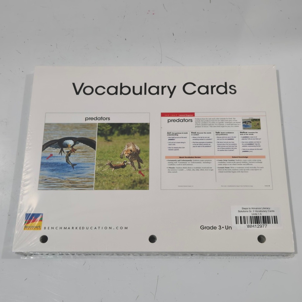 Benchmark Education Grade 3 Vocabulary Cards Steps to Advance Literacy Units 1-5